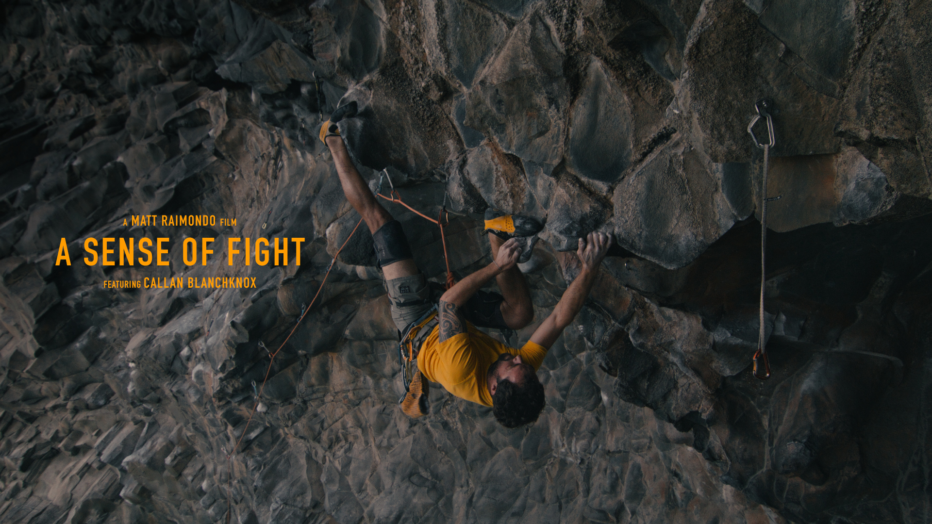 A Sense of Fight